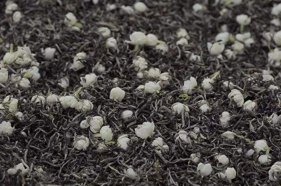 茉莉茶的種類和等級，茉莉花茶的分類