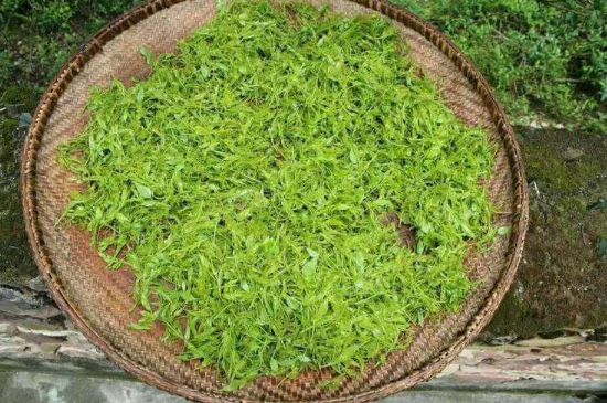 茅巖莓茶加工工藝，莓茶的工藝制作過程