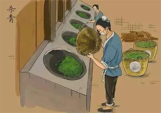制茶八步驟，制茶工藝流程圖