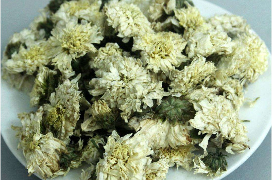 菊花茶買小朵還是大朵，泡茶用的小菊花和大菊花哪個(gè)好
