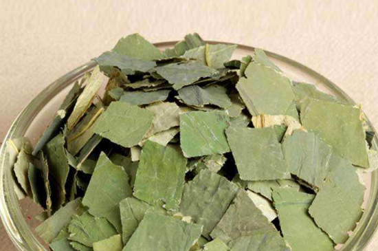 荷葉茶每天喝多少合適，什么時候喝最好？