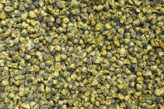 菊花茶大朵小朵有什么區(qū)別，菊花喝大朵還是小朵？