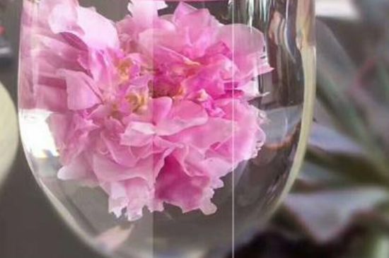 干玫瑰花泡水放幾顆，玫瑰花泡水一次放幾朵？