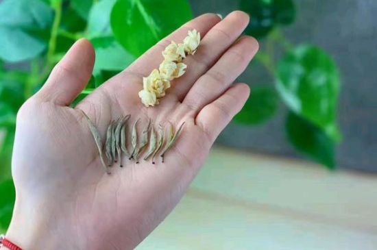 茉莉銀針口感，茉莉銀針是什么味道？