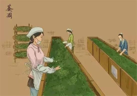 制茶八步驟，制茶工藝流程圖