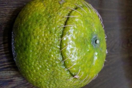 家庭自制柑普茶方法，小青柑制作9個步驟竅門（圖片）