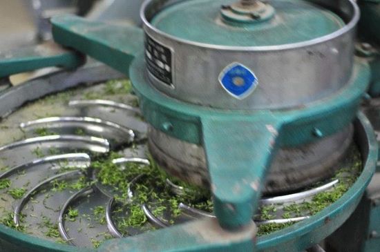 武夷巖茶的初制、精制加工工藝詳細(xì)講解