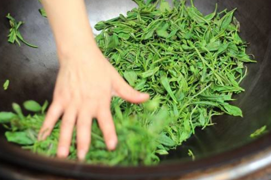 炒青綠茶與綠茶的區(qū)別，烘青和炒青哪個(gè)好喝？