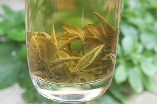 茉莉龍珠泡開后為什么都是梗，茉莉龍珠泡開后什么樣？