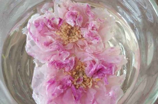 玫瑰花茶上火嗎，盲目喝玫瑰花茶易上火