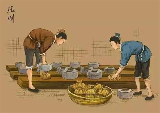 制茶八步驟，制茶工藝流程圖