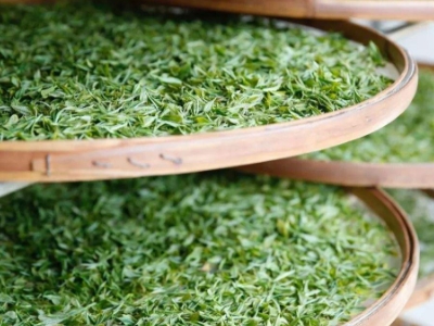 云南八大茶系分別是哪些，都是什么名字