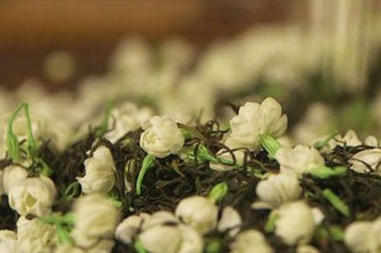 蒸茶器可以蒸花茶嗎，蒸茶器能用來蒸茉莉花茶嗎？