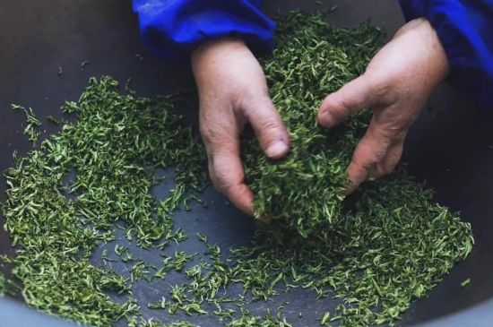 自家炒茶葉怎么炒，自己炒茶葉的步驟