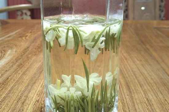 女孩喝茉莉茶的好處，茉莉茶葉的功效與禁忌