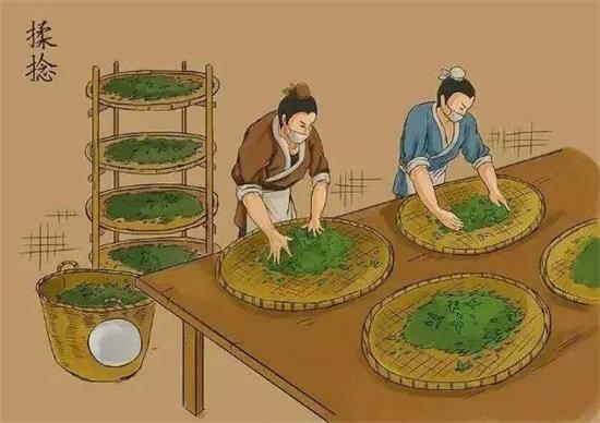 制茶八步驟，制茶工藝流程圖