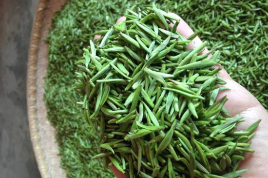 采茶的方法與步驟，如何正確采摘茶葉？