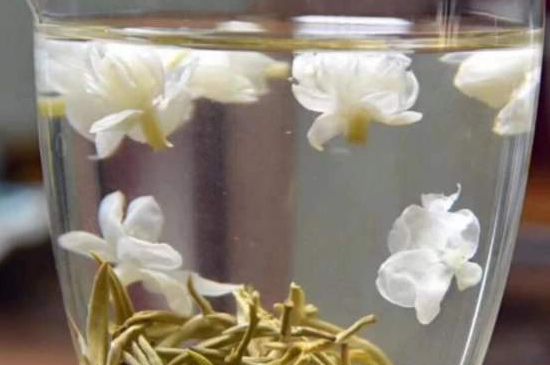 茉莉泡水禁忌，茉莉干花泡水的功效與禁忌