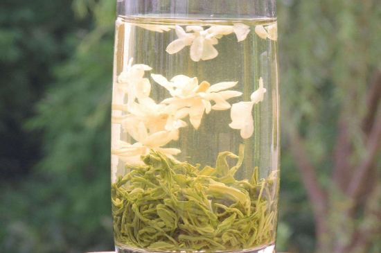 茉莉龍珠可以和什么一起泡茶，茉莉龍珠茶能加蜂蜜嗎？