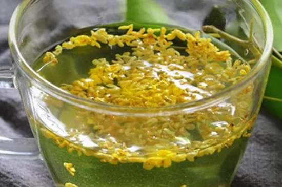 茉莉茶一次泡幾朵，茉莉茶放多少