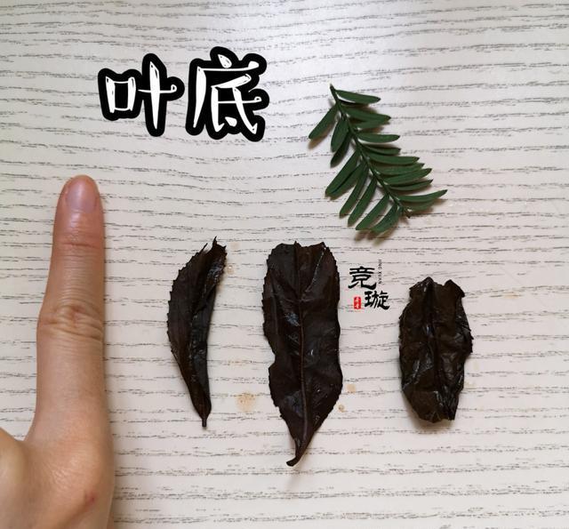 正山小種很細(xì)還很黑亮，正山小種越細(xì)越好嗎