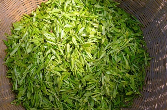 烏牛早和龍井的區(qū)別圖片，龍井43號和烏牛早茶的對比