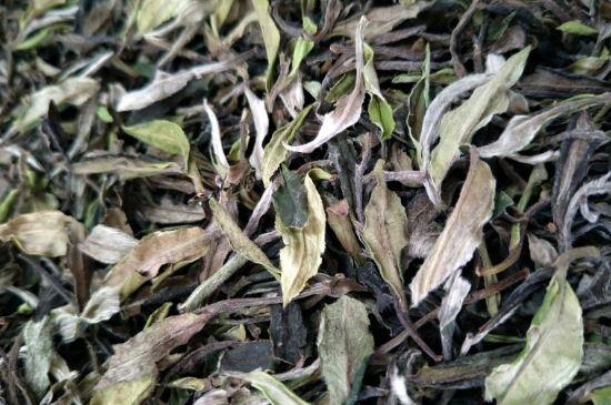 福鼎白茶貢眉和壽眉的區(qū)別，壽眉與貢眉有什么區(qū)別