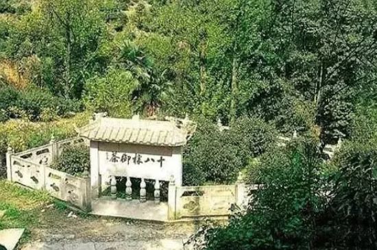 母樹大紅袍給誰喝了，為什么母樹大紅袍叫三棵六株？