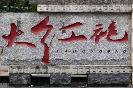 母樹大紅袍給誰喝了，為什么母樹大紅袍叫三棵六株？