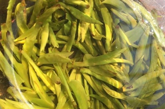 龍井是明前的好還是雨前的好，明前茶和雨前茶哪個(gè)好喝？