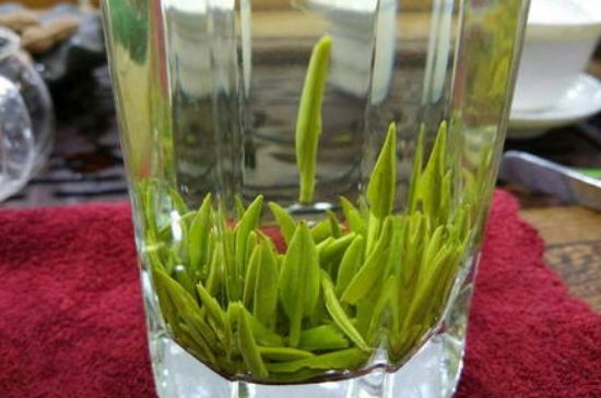 雀舌有一股青草味，雀舌為什么有青草味？