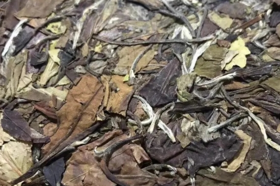 老白茶上火還是去火？夏季喝煮的老白茶會容易上火！