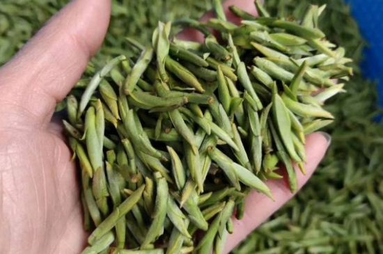 龍井茶好壞的鑒別圖片，如何區(qū)別龍井茶的好壞？