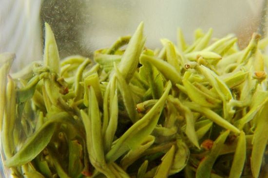 碧螺春為什么泡水渾濁，碧螺春茶葉泡水感覺很臟是混濁的