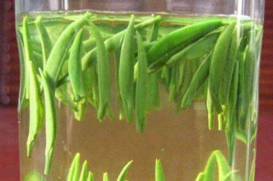 竹葉青和毛尖的區(qū)別，毛尖和竹葉青怎么分辨？