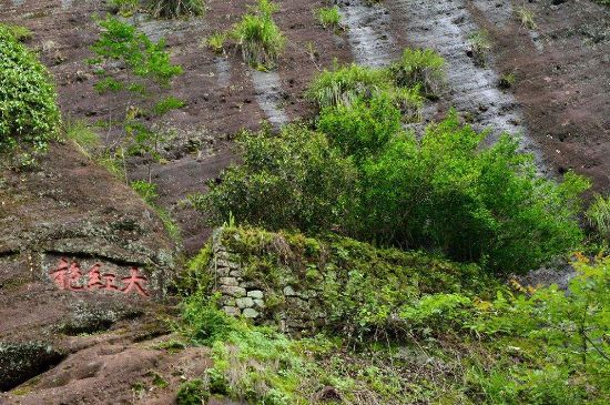武夷巖茶大紅袍，喝起來(lái)是什么味道？