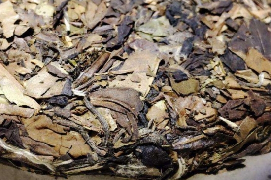 煮茶的步驟圖解，正確的煮白茶方法！