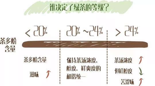 什么綠茶口味重口感濃郁，口味比較重的綠茶都有那些？