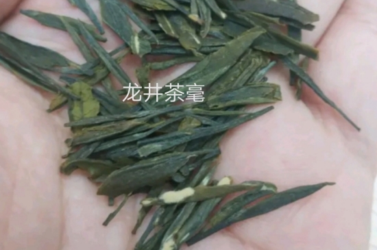 西湖龍井茶毫和發(fā)霉區(qū)別圖片，長霉的龍井茶葉會(huì)是什么樣？