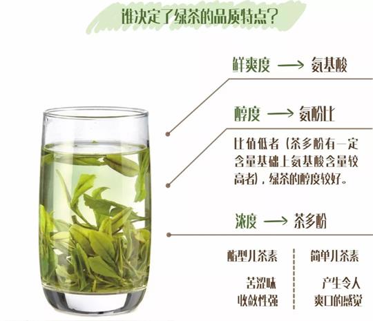 什么綠茶口味重口感濃郁，口味比較重的綠茶都有那些？