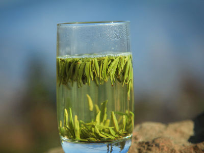 竹葉青茶怎么樣，檔次較高味道略苦價格比較貴