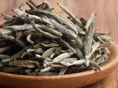 白茶有哪些品種排名，<a href=http://www.nanfanggl.com/fenlei/baicha/ target=_blank class=infotextkey>白茶的種類</a>大全