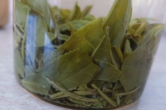 綠茶陳茶和新茶區(qū)別，綠茶怎樣區(qū)分新茶和陳茶