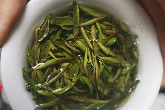 什么人不能喝白茶，白茶不宜什么人喝？