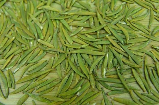 竹葉青和毛尖的區(qū)別，毛尖和竹葉青怎么分辨？