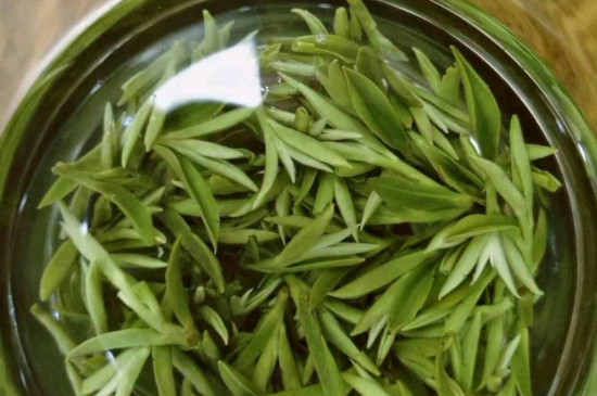 什么綠茶茶葉唇齒留香，哪個品種綠茶香氣好？