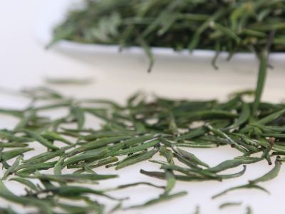 霍山黃芽算是好茶嗎，霍山黃芽屬于什么茶？