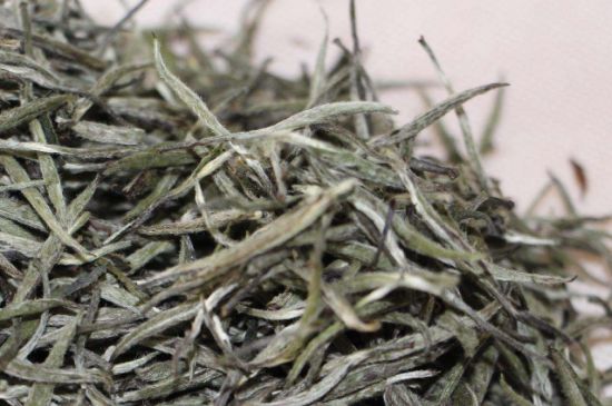 什么人不能喝白茶，白茶不宜什么人喝？