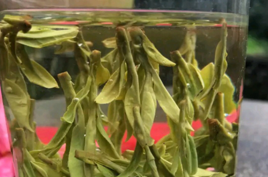 什么綠茶最香最好喝，綠茶口感與香氣排名