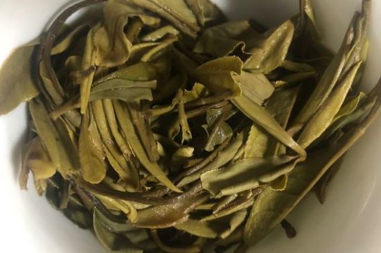 三年白茶賽砒霜，這是真的嗎？